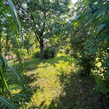Apartament Wojska Polskiego 35 Villa Wadowice Exteriör bild